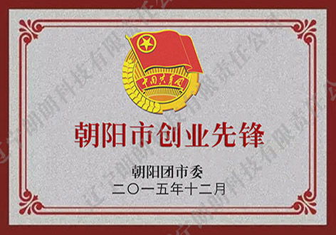 魚袋營(yíng)銷軟件 高效營(yíng)銷與店鋪裝修解決方案